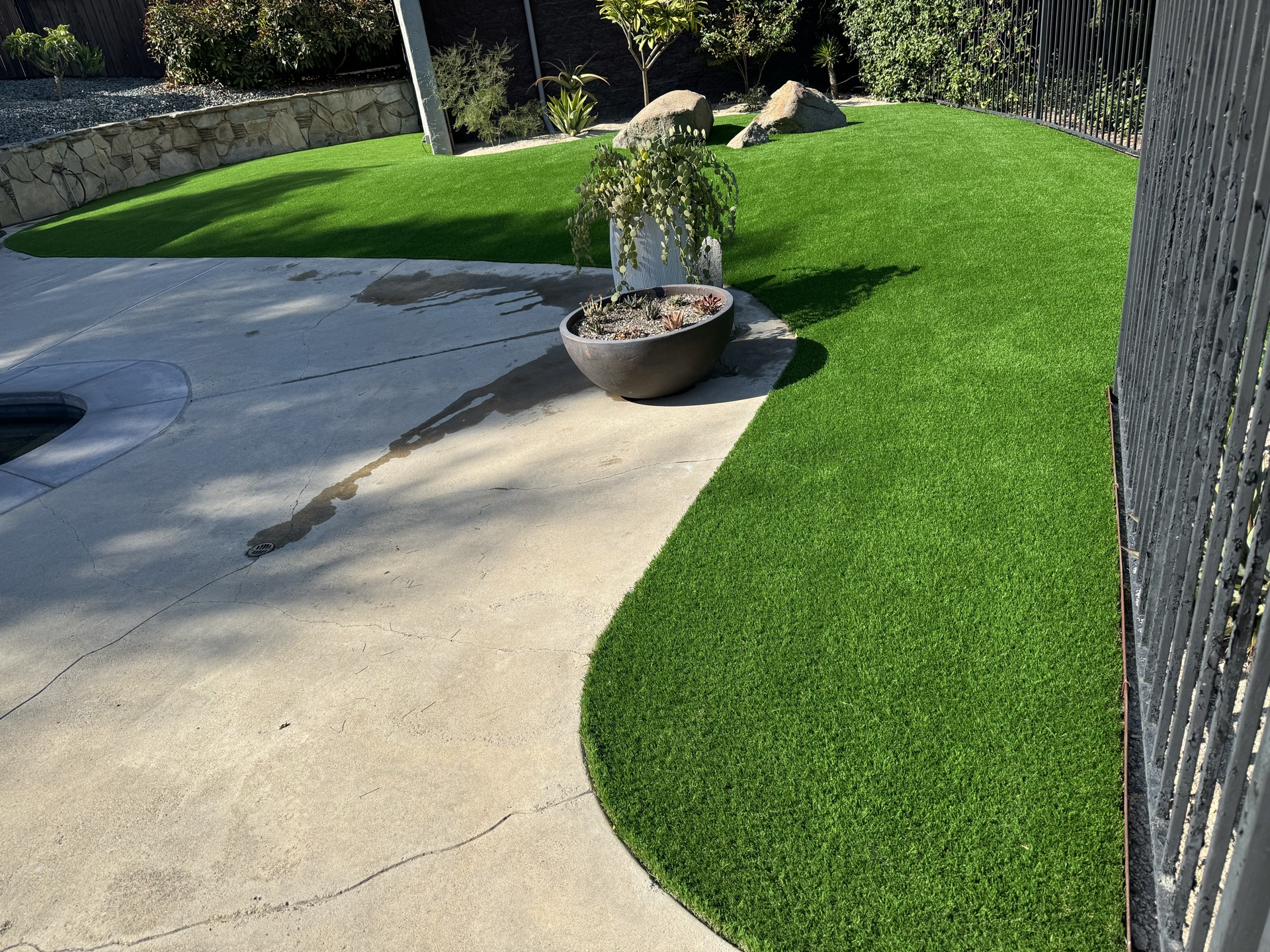Artificial turf installation with curved walkway San Diego