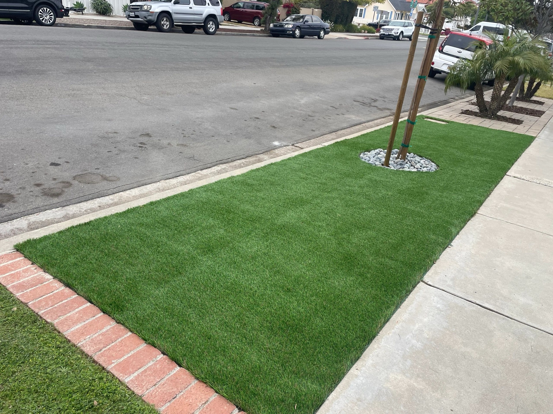 Commercial parkway strip with artificial turf and tree surround
